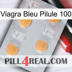 Blue Viagra Pill 100 24